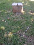 image of grave number 761233
